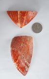 2 PIECES OF SPINY OYSTER POLISHED PERU JEWELRY PENDANT BB134