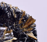 2.5cms GOLDEN RUTILE HEMATITE SPRAY NEEDLES CRYSTALS TITANIUM BAHIA BRAZIL  XB08