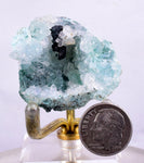 3.9cms ATACAMITE DRUZY CHRYSOCOLLA  STALACTITE LILY MINE PERU MINERAL AB42