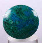 2.8cms CHRYSOCOLLA CABOCHON PERU PARROT WING EILAT STONE JEWELRY PENDANT BB69
