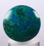 2.8cms CHRYSOCOLLA CABOCHON PERU PARROT WING EILAT STONE JEWELRY PENDANT BB69