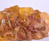 5.7cms YELLOW FLUORITE SHINY CRYSTAL AHOULI MOROCCO MINERAL SPECIMEN KB42