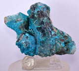 10.5cms QUARTZ CHRYSOCOLLA BOTRYOIDAL TENTADORA MINE PERU MINERAL SPECIMEN CB181