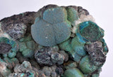 7.9cms DRUZY CHRYSOCOLLA QUARTZ MALACHITE BOTRYOIDAL PERU MINERAL SPECIMEN DB84