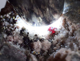 6.5cms PROUSTITE RED RUBY SILVER MINERAL PERU UCHUCCHACUA MINE SPECIMEN H220