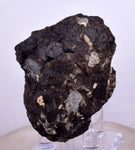 5.7cms ALABANDITE CRYSTALS PERU GEM UCHUCHACCUA MINE MINERAL SPECIMEN HB157