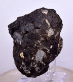 5.7cms ALABANDITE CRYSTALS PERU GEM UCHUCHACCUA MINE MINERAL SPECIMEN HB157