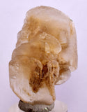 4.2 cms DESERT ROSE SELENITE CRYSTAL PERU GOLDEN SUISEKI TRANSLUCENT TB96