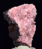 4.3cms RHODOCHROSITE CRYSTAL  N'CHWANING II MINE SOUTH AFRICA  RB652