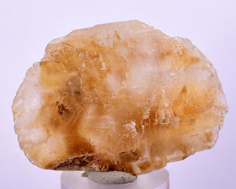 4.8 cms DESERT ROSE SELENITE CRYSTAL PERU GOLDEN SUISEKI TRANSLUCENT TB39