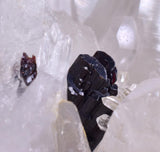 12cms HUBNERITE QUARTZ CRYSTALS MINERAL SPECIMEN COLLECTOR PERU MB57