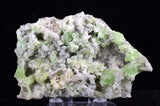 6.8cms AUGELITE CRYSTAL PERU DARK GREEN BRIGHT NEEDLE QUARTZ PASTO BUENO A573