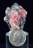 3.3cms RHODOCHROSITE GALENA PYRITE CHINA CRYSTAL RHOMBOHEDRAL MINIATURE RB658