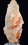 6.8cms LIMONITE IN SELENITE CRYSTAL COLLECTOR PERU MINERAL SPECIMEN TB108