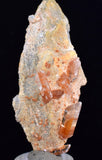 6.8cms LIMONITE IN SELENITE CRYSTAL COLLECTOR PERU MINERAL SPECIMEN TB108