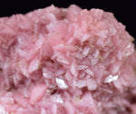 4.3cms RHODOCHROSITE CRYSTAL  N'CHWANING II MINE SOUTH AFRICA  RB652