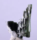 1.9cms TOURMALINE CLEAVELANDITE ALBITE ELBAITE BRASIL MINAS GERAIS MINERAL WB01