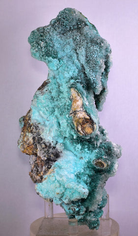 20cm GEM CHRYSOCOLLA IN SELENITE LILY MINE PERU MALACHITE STALACTITES CB359