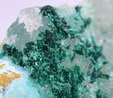 6cms ATACAMITE DRUZY CHRYSOCOLLA  STALACTITE LILY MINE PERU MINERAL AB43