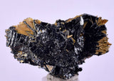 3.2cms GOLDEN RUTILE HEMATITE SPRAY NEEDLES CRYSTALS TITANIUM BAHIA BRAZIL  XB03