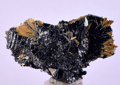 3.2cms GOLDEN RUTILE HEMATITE SPRAY NEEDLES CRYSTALS TITANIUM BAHIA BRAZIL  XB03