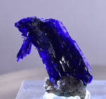 2.3cm GEM AZURITE CRYSTALS TSUMEB NAMIBIA ON MATRIX ROYAL BLUE SHARP SHINY UB239