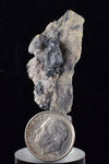 3.9cms ACANTHITE QUARTZ CRYSTALS MINERAL SPECIMEN PERU COLLECTOR HB3
