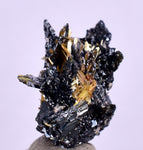 2.5cms GOLDEN RUTILE HEMATITE SPRAY NEEDLES CRYSTALS TITANIUM BAHIA BRAZIL  XB19