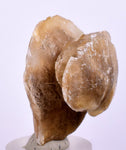 3.8 cms DESERT ROSE SELENITE CRYSTAL PERU GOLDEN SUISEKI TRANSLUCENT TB37
