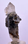 5.8cms GEM QUARTZ SCEPTER NATURAL CHLORITE INCLUDED PHANTOM CRYSTAL PERU  QB27