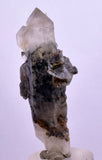 5.8cms GEM QUARTZ SCEPTER NATURAL CHLORITE INCLUDED PHANTOM CRYSTAL PERU  QB27