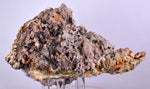 14cms GEM WULFENITE FLUORITE MIMETITE CRYSTALS ALAMO ARIZONA USA MINERAL YB38