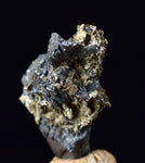 0.9cms NATIVE SILVER WIRE PERU UCHUCCHACUA MINE MINERAL SPECIMEN HB257
