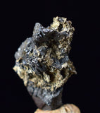 0.9cms NATIVE SILVER WIRE PERU UCHUCCHACUA MINE MINERAL SPECIMEN HB257