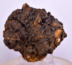 5.3cms GOETHITE BOTRYOIDAL IRIDESCENT CRYSTALS PERU IRON NEW FIND MINERAL ZB31