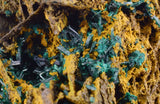 8.4cms ATACAMITE QUARTZ CRYSTALS LIMONITE  LILY MINE PERU MINERAL SPECIMEN AB185