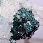 5cms GEM CLINOATACAMITE CRYSTAL MALACHITE LILY MINE 2000 DISCOVERY PERU AB159