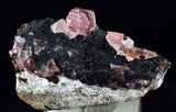 1.8cms GEM RHODOCHROSITE CRYSTALS PERU UCHUCHACCUA MINE MINERAL SPECIMEN RB480