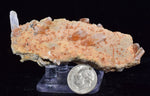 8cms LIMONITE IN SELENITE CRYSTAL COLLECTOR PERU MINERAL SPECIMEN TB104