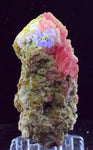 6.5cms GEM RHODOCHROSITE FLUORITE PYRITE CRYSTAL QUARTZ CHINA FLUORESCENT RB313