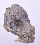 3.6cm GEM AXINITE CRYSTAL  PERU SUPER SHINY MINERAL SPECIMEN AB105