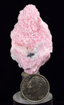 4.3cms RHODOCHROSITE QUARTZ CALCITE CRYSTALS JORDANITE (?) GALENA PERU RB506
