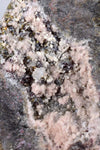 6.5cms PROUSTITE RED RUBY SILVER MINERAL PERU UCHUCCHACUA MINE SPECIMEN H220
