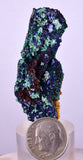 5.1cms AZURITE MALCHITE CRYSTALS MINERAL SPECIMEN AHOULI MINES MOROCCO UB218