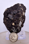 5.7cms ALABANDITE CRYSTALS PERU GEM UCHUCHACCUA MINE MINERAL SPECIMEN HB157