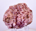 5cms COBALTOAN CALCITE SHINY CRYSTAL MOROCCO MINERAL SPECIMEN GB61