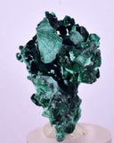 3.6cms MALACHITE MINI CRYSTALS CONGO MINDINGI MINE SHINY MINERAL SPECIMEN UB229