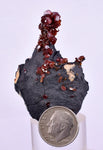 4.7cm VANADINITE HOLLANDITE CRYSTAL MIBLADEN MOROCCO MINERAL SPECIMEN WB23