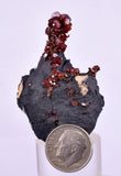 4.7cm VANADINITE HOLLANDITE CRYSTAL MIBLADEN MOROCCO MINERAL SPECIMEN WB23