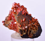 6cm VANADINITE HOLLANDITE CRYSTAL MIBLADEN MOROCCO  MINERAL SPECIMEN WB34